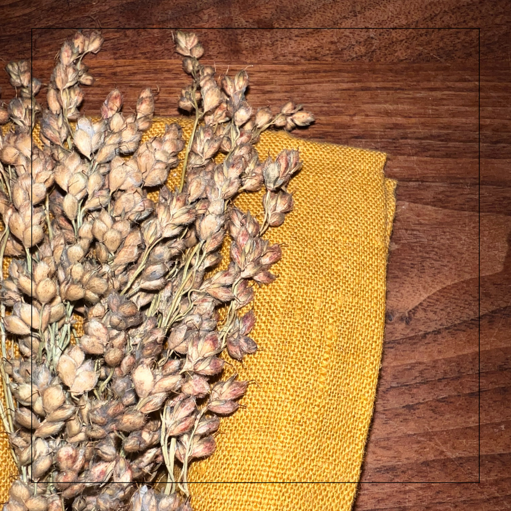 Mustard Linen Napkin Set