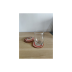Coral 2 Coasters (Set of 3)